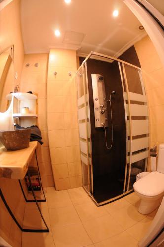 a bathroom with a shower and a toilet at APARTAMENTOs URDAIBAI 2 in Bermeo