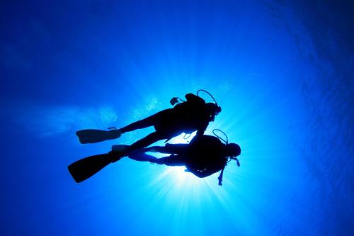 a diver in the water with the sun shining at Villa Eagle Eye Montenegro in Kotor