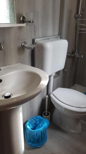 a bathroom with a white toilet and a sink at CROTTO CARACO APPARTAMENTI BUNGALOW CHALET in Porlezza