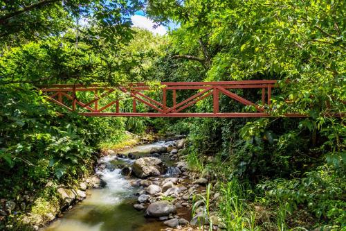 a red bridge over a stream in a forest at La Terraza Guest House B&B in Grecia