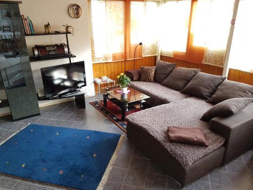 - un salon avec un canapé et une télévision dans l'établissement Sonnenbühl Inn Suite & Garden an den Thermen '35C', à Bad Ditzenbach
