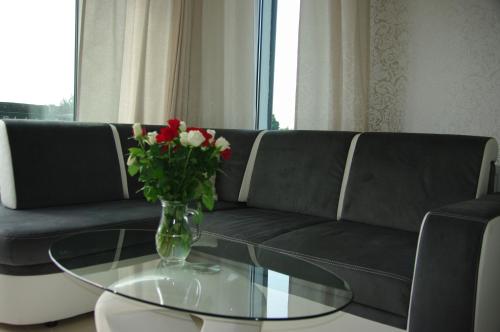 a living room with a couch and a glass table with a vase with flowers at Rayo del Sol Łukęcin in Łukęcin