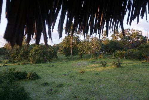 a grassy field with a palm roof at Mida Creek Nature Camp in Watamu
