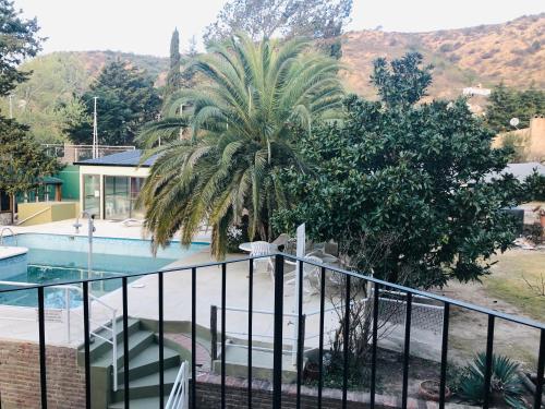 a palm tree next to a swimming pool at Apart-Hotel Gibert's House in Villa Carlos Paz