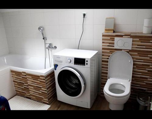 a bathroom with a washing machine next to a toilet at Villa Brigit in Nová Lesná