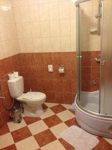 a bathroom with a toilet and a shower at Valpovački dvori B&B in Valpovo