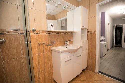 Ždralovi的住宿－apartman tušek-Bjelovar，一间带水槽和镜子的浴室