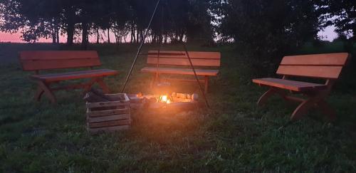two park benches and a fire grill in the grass at Guzikowa Chata in Dobczyce