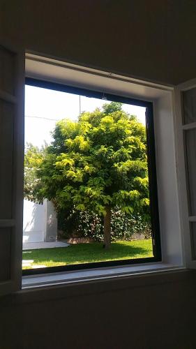 Κήπος έξω από το Villa delle Muse