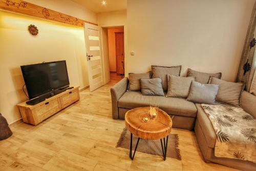 Televízia a/alebo spoločenská miestnosť v ubytovaní APARTAMENT TATRZAŃSKA LELUJA