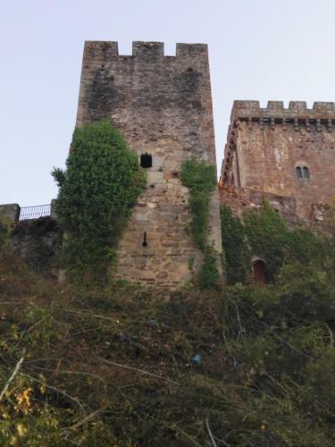 a castle with ivy growing on the side of it at Falagueira in Monforte de Lemos