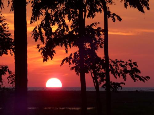 a sunset over the ocean with trees in the foreground at Encanto Lodge in Drake