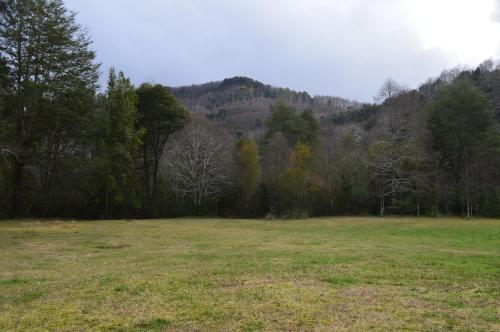 a large field with trees in the background at Refugios Canto del Agua in Villarrica