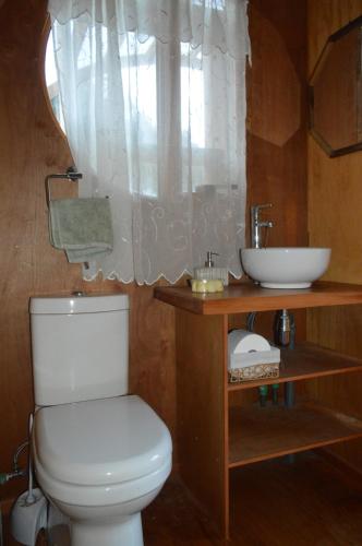 a bathroom with a white toilet and a sink at Refugios Canto del Agua in Villarrica
