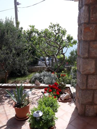 Κήπος έξω από το Apartman Grospic 2