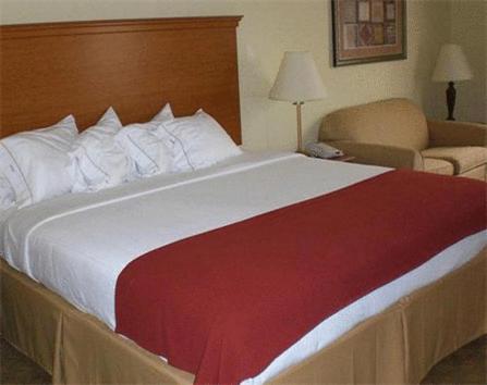 a hotel room with a large bed and a chair at Holiday Inn Express Hotel & Suites Zapata by IHG in Zapata