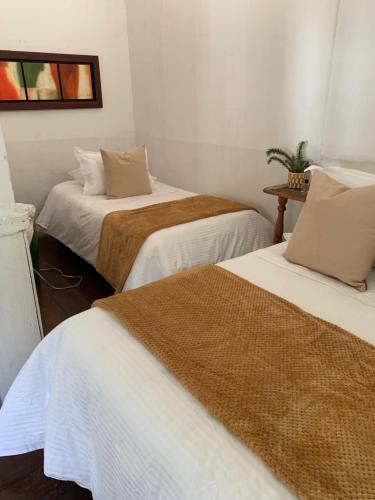 two beds in a room with white walls at Ecohotel Pinohermoso Reserva Natural in Salento