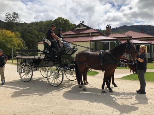 a horse drawn carriage with a man standing next to it at Canungra Valley Cottage in Canungra