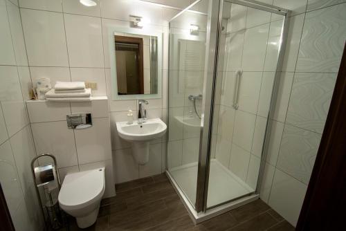 a bathroom with a shower and a toilet and a sink at Hotel EUROPA - Górnicza Strzecha in Szklarska Poręba