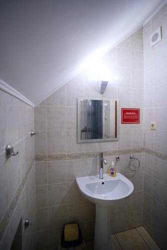 a bathroom with a sink and a mirror at 12 Місяців-Травень, басейн з підігрівом in Slavske