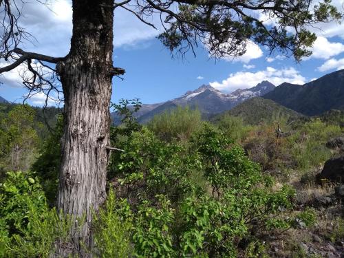 Gallery image of Rincon del Montañes in Antuco