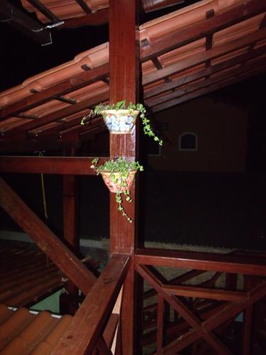 a plant in a hanging planter on a wooden pole at Pousada Horizonte dos Borbas in Abraão
