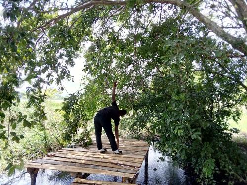 a man standing on a wooden bridge with his arm in the air at Lake Bliss in Dambulla
