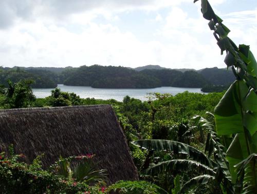 a view of a body of water in the distance at Palau Plantation Resort in Koror