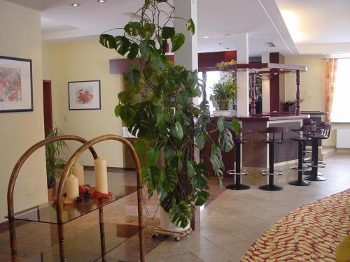 eine Pflanze in einer Lobby mit einem Friseursalon in der Unterkunft Hotel Teinachtal in Bad Teinach-Zavelstein