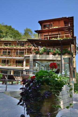 a building with a flower pot in front of it at Hotel Saint Nedelya in Kolarovo