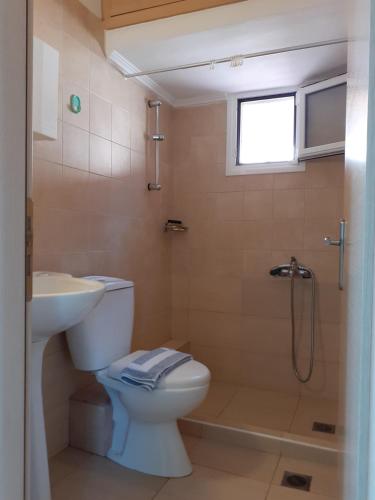 a bathroom with a toilet and a sink and a shower at Maria-Villa in Psakoudia