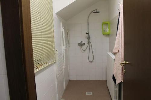 a bathroom with a shower with a shower head at Un loft solo per i tuoi occhi in Bergamo