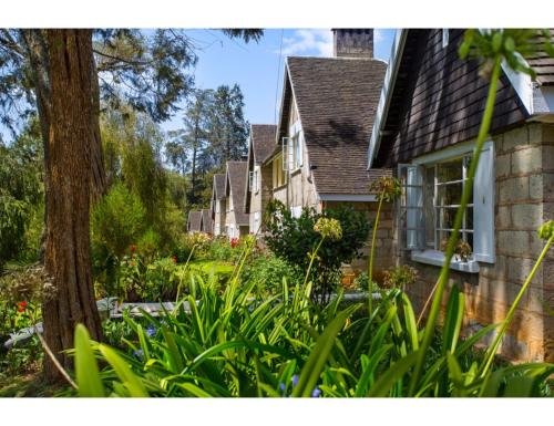 a row of houses with plants in the yard at Thomsons Falls Lodge in Nyahururu