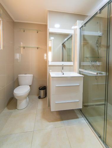 a bathroom with a toilet and a sink and a shower at Hacienda Wayaca Apartments in Wayaca