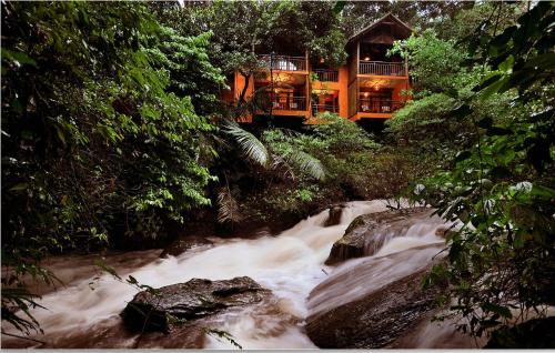 a house in the middle of a river in the forest at Vythiri Resort in Vythiri