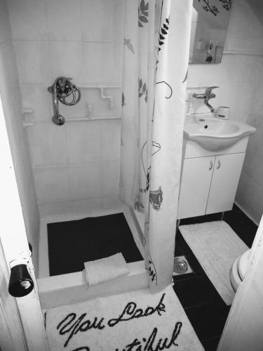 Un baño con cortina de ducha y lavabo. en Gardos, en Belgrado