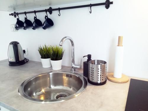 a kitchen sink with plants on a counter at Apartamenty Maki in Gdańsk