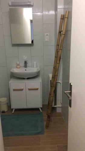 une salle de bain avec un lavabo et un miroir dans l'établissement Nice appartment between Orly airport and Paris, à Bagneux