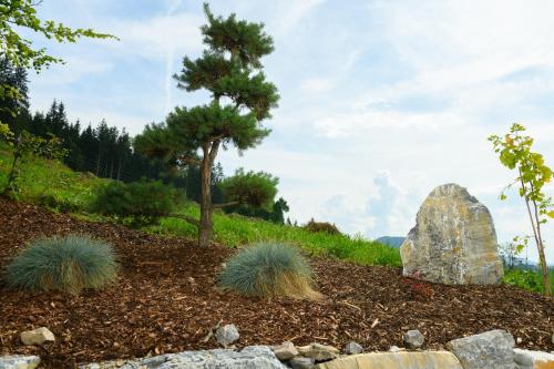 a garden with rocks and a pine tree and a rock at Landhotel Anna in Sankt Martin am Tennengebirge