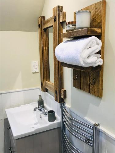 a bathroom with a sink and a mirror at Chefs cottage in Kenmore