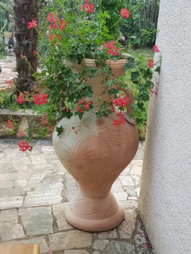 a large vase filled with flowers sitting next to a building at Villa Palma Karojba in Karojba