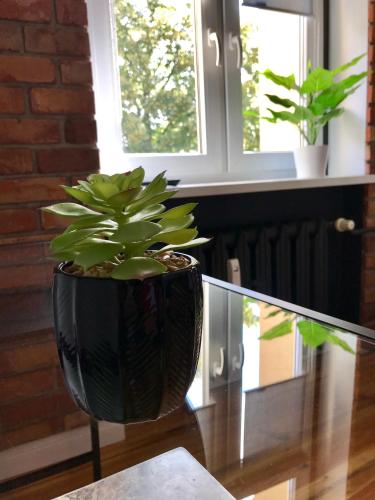 Gambar di galeri bagi Apartament Odrzanka di Gryfino