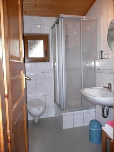 a bathroom with a shower and a toilet and a sink at Nationalpark-Gastgeber Eifel in Blankenheim