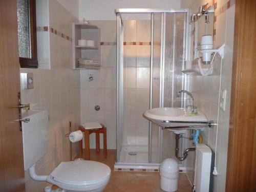 a bathroom with a shower and a toilet and a sink at Nationalpark-Gastgeber Eifel in Blankenheim