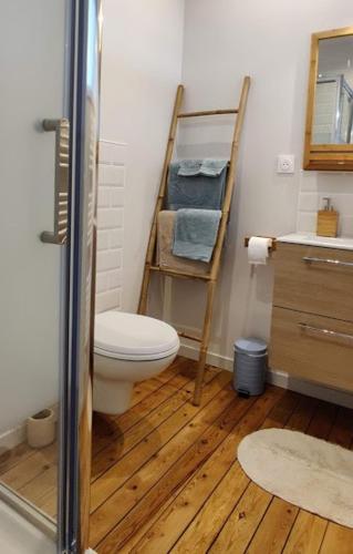 La salle de bains est pourvue de toilettes et d'une étagère avec des serviettes. dans l'établissement Studio 