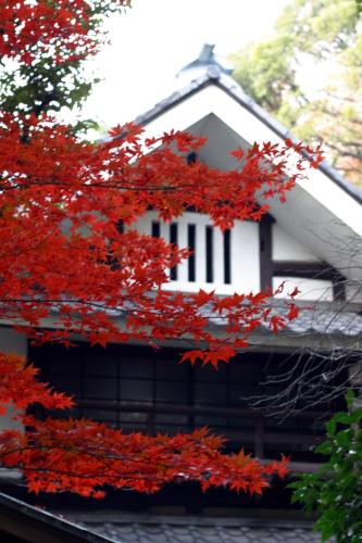 a tree with red leaves in front of a house at Hotel Chinzanso Tokyo in Tokyo