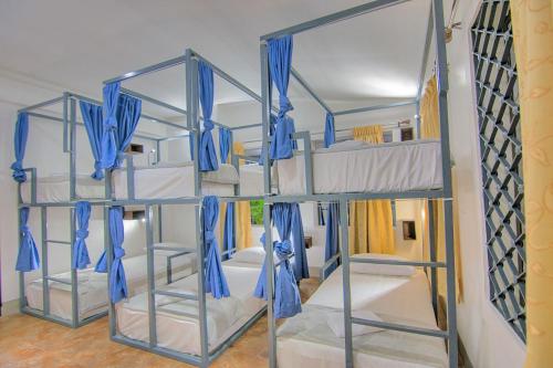 two bunk beds in a room with blue curtains at Bokre Angkor Hostel in Siem Reap