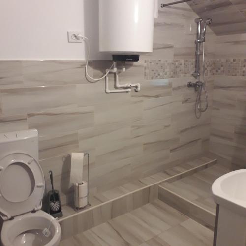 a bathroom with a toilet and a sink at CasaMarinela in Orşova