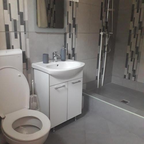 a bathroom with a toilet and a sink and a shower at CasaMarinela in Orşova