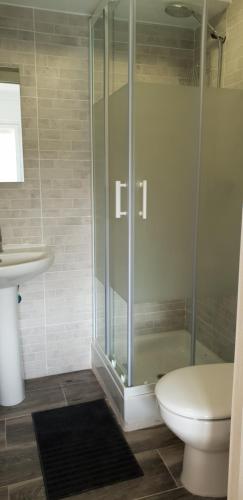 a bathroom with a shower and a toilet and a sink at Pensión La Estrella in Zaragoza
